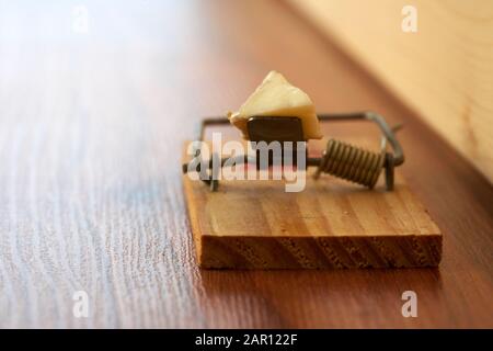 wooden traditional spring loaded mousetrap with cheese placed next to skirting board in house Stock Photo