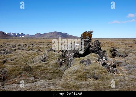lava rock fields covered in moss hellisheidi landscape iceland Stock Photo