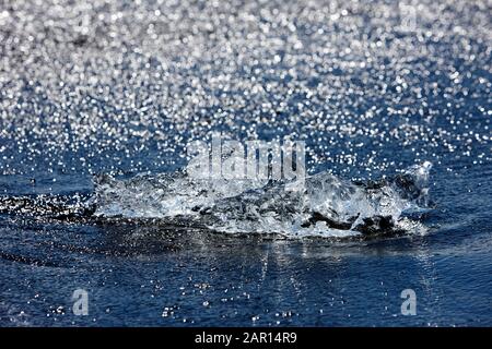 remnants of an iceberg shimmer in sunlight as it washes up on jokulsarlon beach iceland Stock Photo