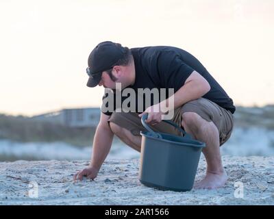 Man Crouched Down on Sandy Beach Collecting Sea Shells Stock Photo
