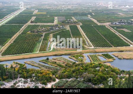 A view of the irrigated agricultural orchards and fields in the delta of the river Neretva in Opuzen, Croatia. Croatia, Dalmatia, orchards and gardens Stock Photo