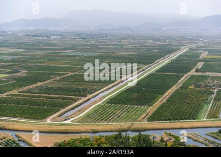 A view of the irrigated agricultural orchards and fields in the delta of the river Neretva in Opuzen, Croatia. Croatia, Dalmatia, orchards and gardens Stock Photo