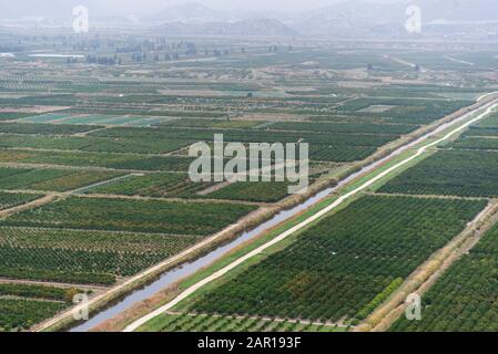 A view of the irrigated agricultural orchards and fields in the delta of the river Neretva in Opuzen, Croatia. Croatia, Dalmatia, orchards and gardens Stock Photo