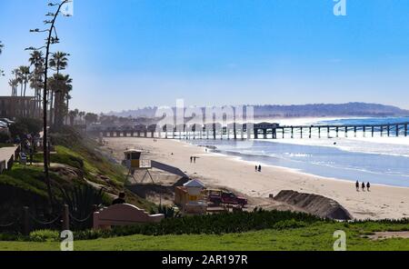 A bluff with tall plant and empty bench overlooking views of Crystal Pier at Pacific Beach with their beach bungalows above the surf on a sunny day Stock Photo