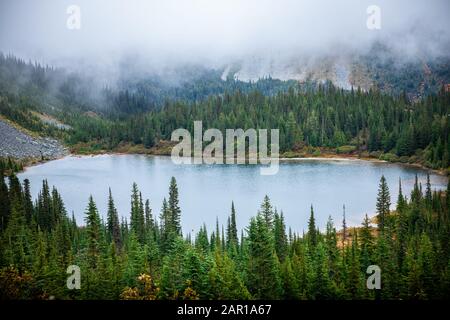 Aerial view over lake and tropical forest in autumn of Mount Rainier, Seattle, USA after raining with flying fog. Stock Photo