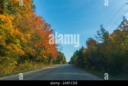 Autumn road to large lakes, maple leaves on the sidelines have already begun to turn yellow Stock Photo