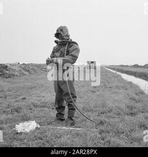 npc, pipelines, kikvorsmannen Date: 1965 Keywords: kikvorsmannen, npc, pipelines Stock Photo