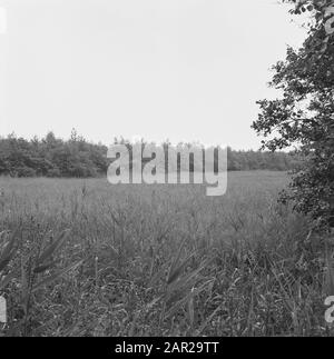 nature reserves, CRM, Roorda, Sbb Date: 1973 Location: Drachten Keywords: nature reserves Personal name: CRM, Roorda, Sbb Stock Photo