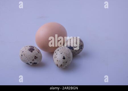 Bird eggs are a common food and one of the most versatile ingredients used in cooking. They are important in many branches of the modern food industry Stock Photo