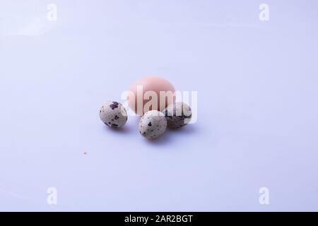 Bird eggs are a common food and one of the most versatile ingredients used in cooking. They are important in many branches of the modern food industry Stock Photo