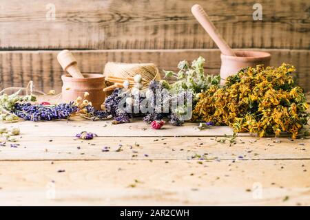 Harvesting medicinal herbs, alternative medicine, Ayurveda, dried flowers Stock Photo