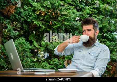 Take moment to enjoy life. Guy drinks coffee relaxing terrace branches background. Aroma cappuccino. Pleasant moment. Man bearded hipster make pause for drink coffee and relax while sit with laptop. Stock Photo