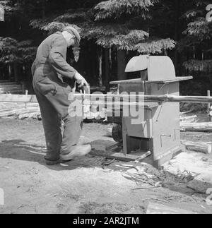 woodworking, workers, logs, machines Date: undated Keywords: workers, logs, woodworking, machines Stock Photo