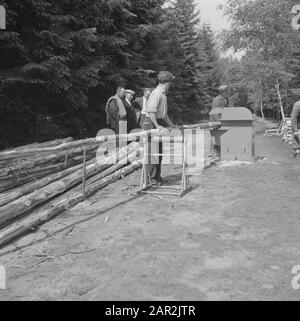 woodworking, workers, logs, machines Date: undated Keywords: workers, logs, woodworking, machines Stock Photo
