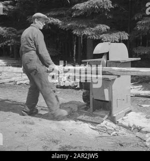 woodworking, workers, logs, machines Date: undated Keywords: workers, logs, woodworking, machines Stock Photo