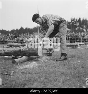woodworking, workers, logs, lawns, saws Date: undated Keywords: workers, logs, lawns, woodworking Personal name: saw Stock Photo