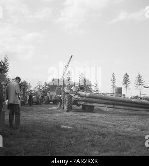 machines, tools, logs, workers Date: undated Keywords: workers, logs, machines, tools Stock Photo