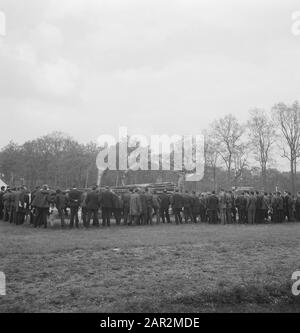 lawns, tree trunks, agricultural machinery, tools, hoists, trailers, loading work, spectators, Tractors Date: undated Keywords: trailers, logs , lawns, loading work, agricultural machinery, hoists, spectators, tools Personal name: Tractors Stock Photo