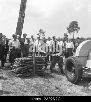 machines, tools, workers, logs Date: undated Keywords: workers, logs, machines, tools Stock Photo