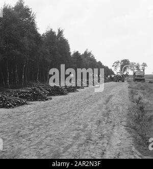 machines, tools, logs, workers Date: undated Keywords: workers, logs, machines, tools Stock Photo