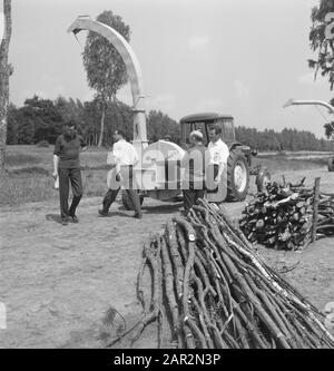 machines, tools, workers, logs Date: undated Keywords: workers, logs, machines, tools Stock Photo