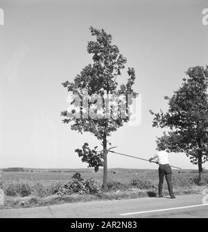 roads, trees, shrubs, workers, tools Date: undated Keywords: workers, trees, tools, shrubs, roads Stock Photo