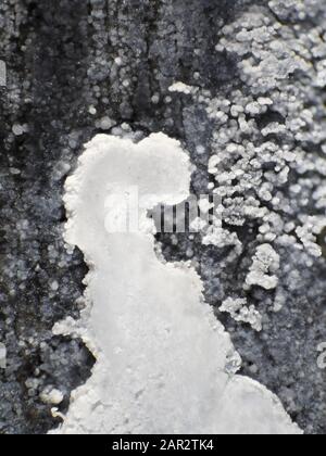 Potassium carbonate on leaked alkaline battery surface, reflected light micrograph Stock Photo