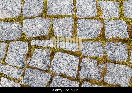 paving stones and green moss Stock Photo