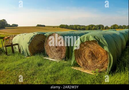 Hay bales for feeding the horses. Stock Photo