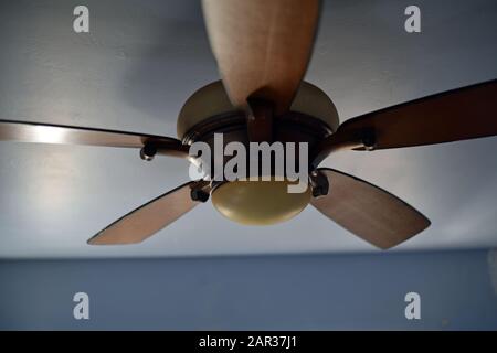 Ceiling Fan Stock Photo