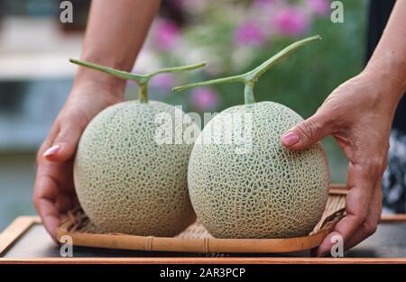 Close-up view of hand that pick a melon Stock Photo
