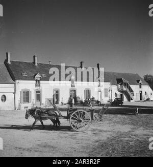 Dutch farmers are going to set up a business in France  World War II, Agriculture Date: August 1945 Location: France Keywords: Agriculture, World War II Stock Photo