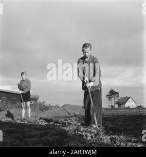 The work of the Stichting War Foster Children in the field of care of children of N.S.B.-ers  Boys at the hoe Date: October 1945 Keywords: education, World War II  : Breijer, Charles/Anefo Stock Photo