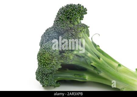 Broccoli florets. Close up of fresh organic broccoli florets isolated on white background Stock Photo