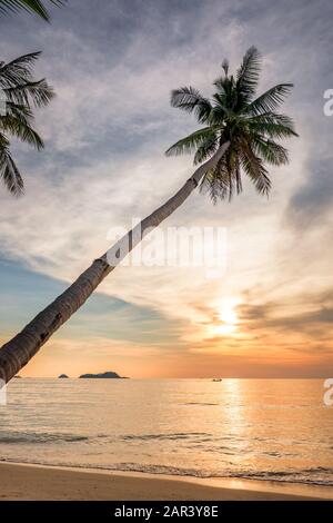 Palm tree on an empty tropical beach at sunset Stock Photo