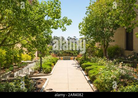 Alley garden with beautiful tropical trees and flowers Stock Photo