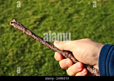 Closeup selective focus shot of a person holding a wooden stick Stock Photo