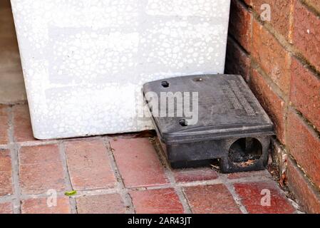 A black plastic rat trap. Stock Photo