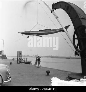 Operation H2O in Kampen. Sturgeon with interest from Jsselkade Date: August 8, 1956 Location: Kampen Stock Photo
