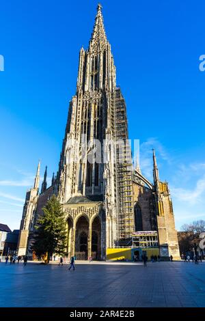 Ulm, Germany, December 29, 2019, Front view of famous minster gothic cathedral church building and tall steeple with scaffolding, a tourist magnet Stock Photo