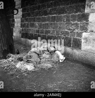 Clochards  A clochard sleeps under a bridge in Paris Date: undated Location: France, Paris Keywords: liquor, bottles, straw, hobos Stock Photo