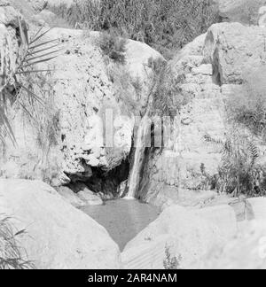 Israel 1964-1965: Ein Gedi  Ein Gedi. Rock wall with the Sudarbron Date: 1964 Location: Ein Gedi, Israel Keywords: landscapes, rocks, water sources Stock Photo