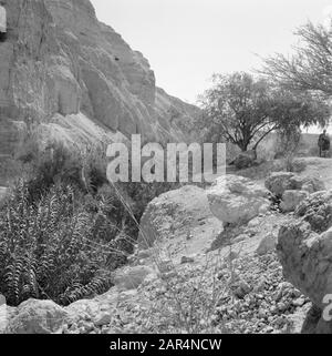 Israel 1964-1965: Ein Gedi  Ein Gidi. Rocky landscape with here and there vegetation Date: 1964 Location: Dead Sea, Ein Gedi, Israel Keywords: Rocks Stock Photo