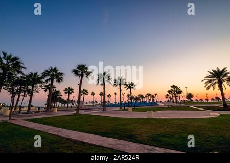 Wonderful Morning view in Al khobar park - City : Khobar, Saudi Arabia. Stock Photo