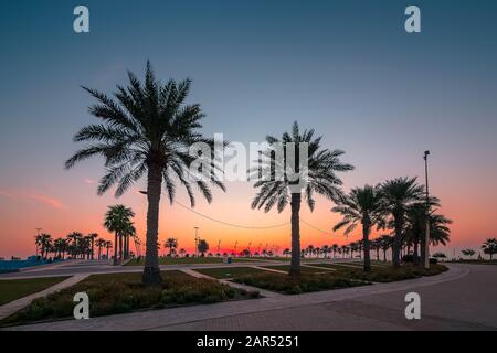 Wonderful Sunrise view in Al khobar Corniche park - Saudi Arabia. Stock Photo