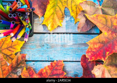 Multi-colored pencils and yellow autumn leaves on a background of old blue boards. Copy space for inscription. School concept Stock Photo