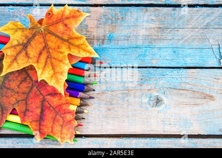 Multi-colored pencils and yellow autumn leaves on a background of old blue boards. Copy space for inscription. School concept Stock Photo