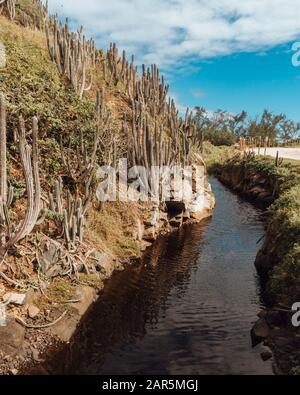 Landscape of a river in Rio de Janeiro with a sand road and cactuses on a hill Stock Photo