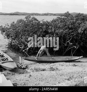 Netherlands Antilles and Suriname at the time of the royal visit of Queen Juliana and Prince Bernhard in 1955  Cano Date: October 1955 Location: Dutch Antilles Keywords: lakes, ships Stock Photo