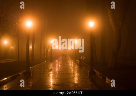 Couple walking by foggy park alley in th evening. Kyiv, Ukraine Stock Photo